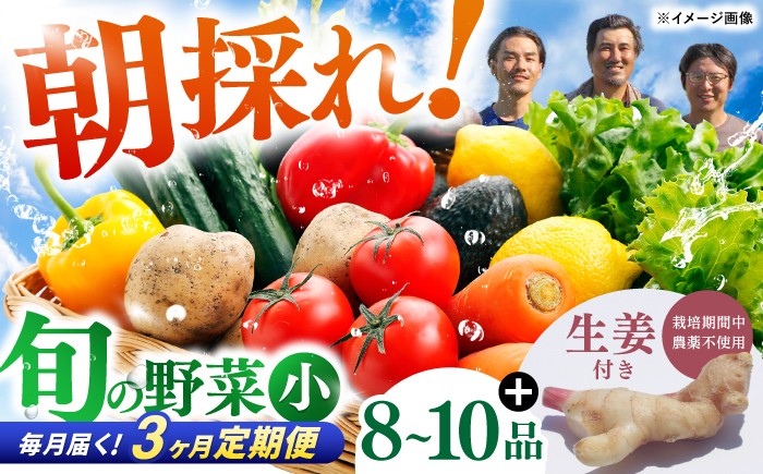 【3回定期便】 土佐の太陽をいっぱいに浴びた旬の野菜生姜約200gのセット「小」 【土佐野菜】 [ATBA011]
