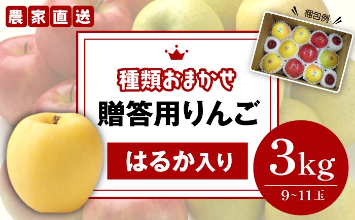 種類おまかせ！！贈答用のりんごをお送りします！！