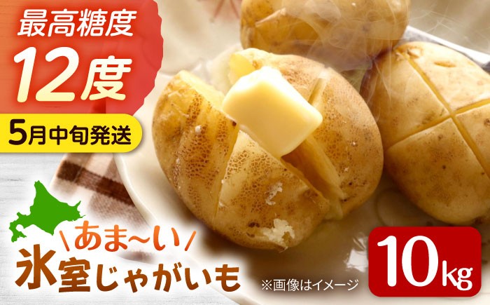 じゃがいも ジャガイモ 芋 メークイン 野菜