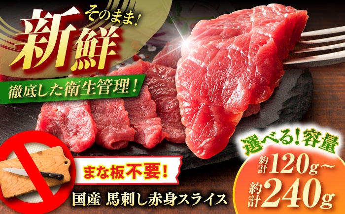 馬刺し 赤身 熊本 ばさし 人気 馬刺し 馬刺 国産 馬肉 たれ 赤身 国産  冷凍 九州 菊陽町