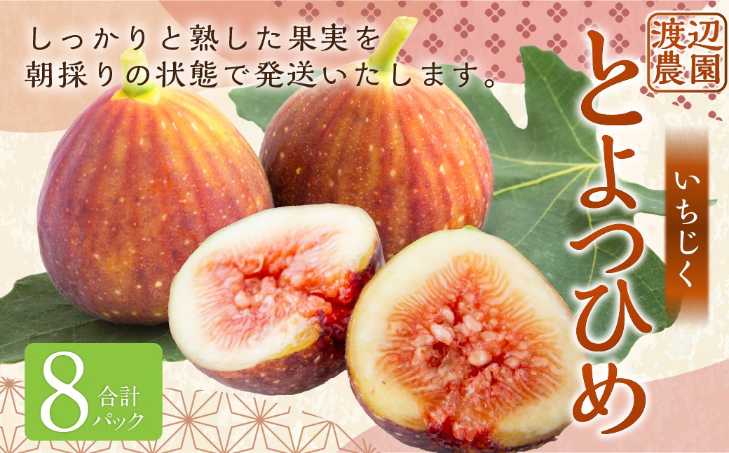 いちじく（とよみつひめ）8パック【2026年7月下旬～8月下旬発送予定】