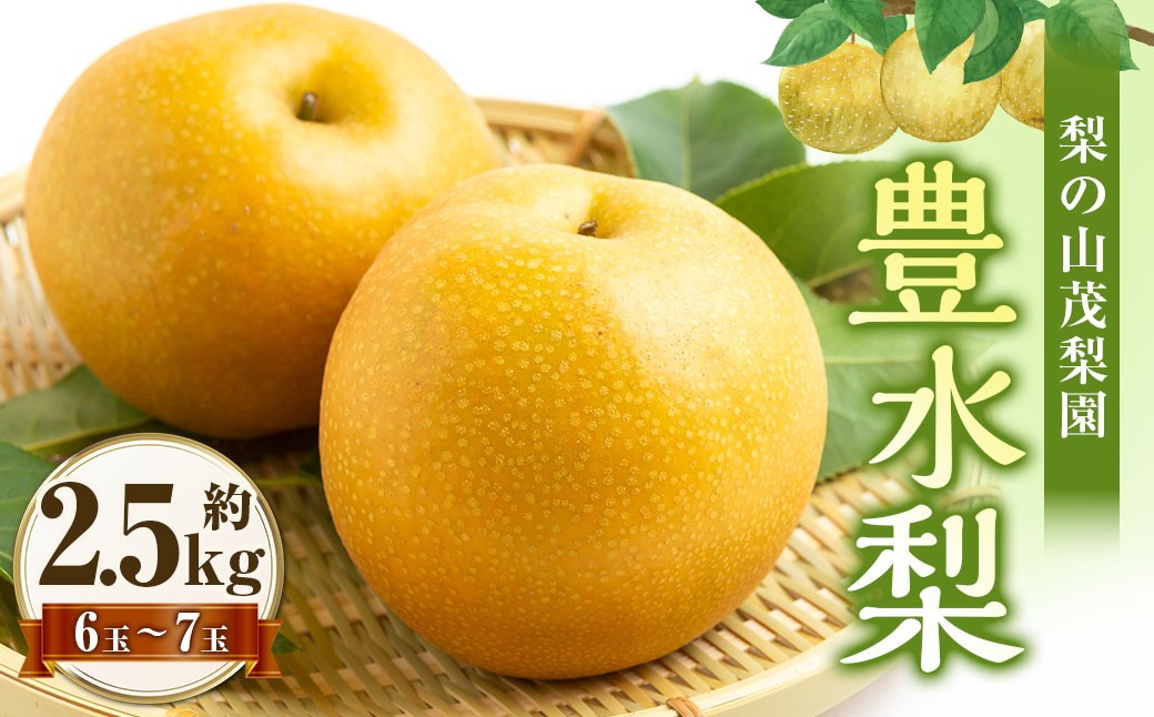 【先行予約】 梨の山茂梨園 豊水梨 6玉から7玉（約2.5kg）【2026年8月下旬～9月上旬発送予定】