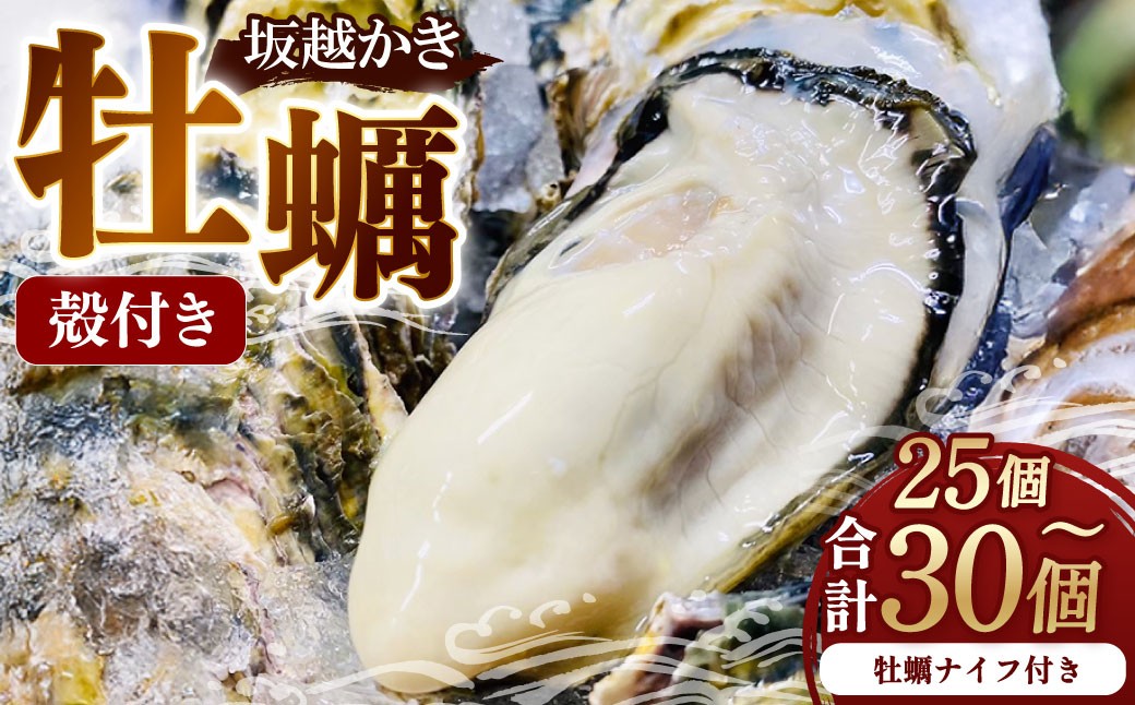 牡蠣 坂越かき 殻付き 25個～30個 （牡蠣ナイフ付き）