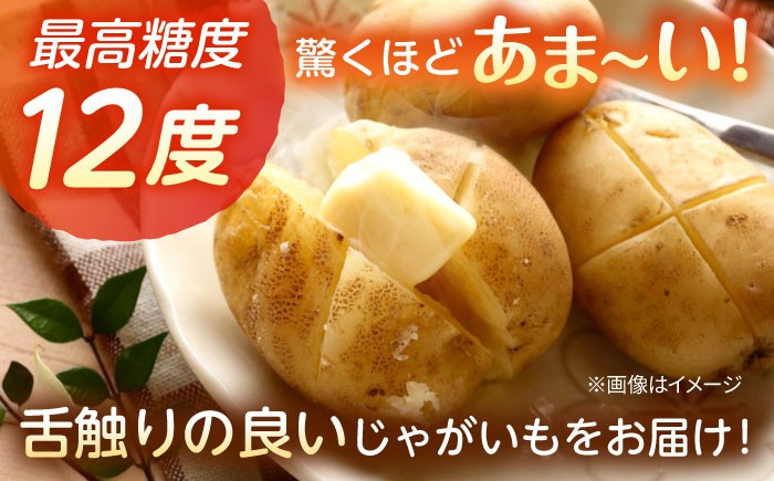 じゃがいも ジャガイモ 芋 メークイン 野菜