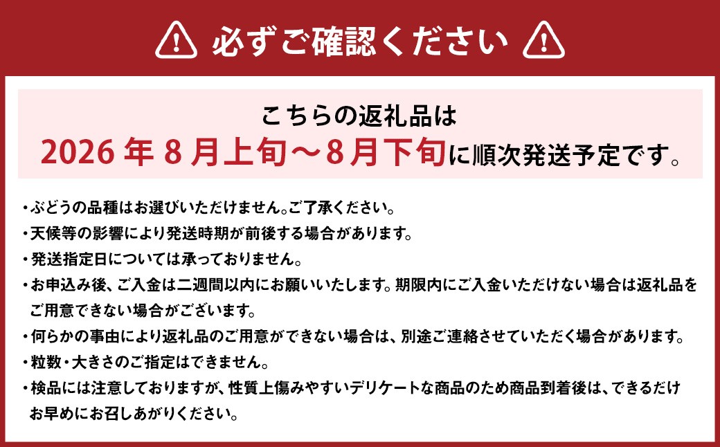 おまかせぶどう 3品種 詰め合わせ 2kg（3～6房）