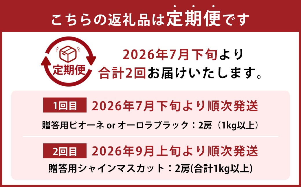 【2回定期便】贈答用ピオーネ or オーロラブラック 2房（1kg以上）&シャインマスカット 2房（合計1kg以上）