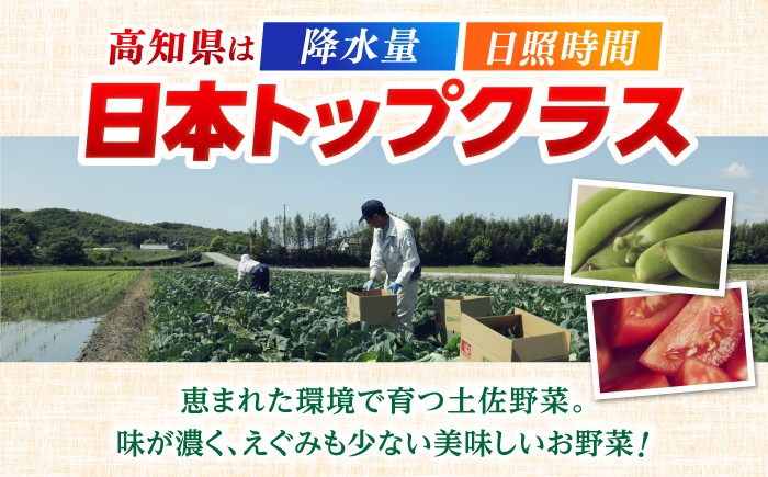 【3回定期便】 土佐の太陽をいっぱいに浴びた旬の野菜生姜約200gのセット「小」 【土佐野菜】 [ATBA011]
