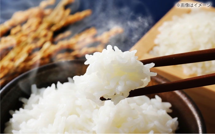 米 お米 白米 精米 はくまい こめ ご飯 ごはん 美味しい 国産 お取り寄せ 産地直送 おすすめ 人気