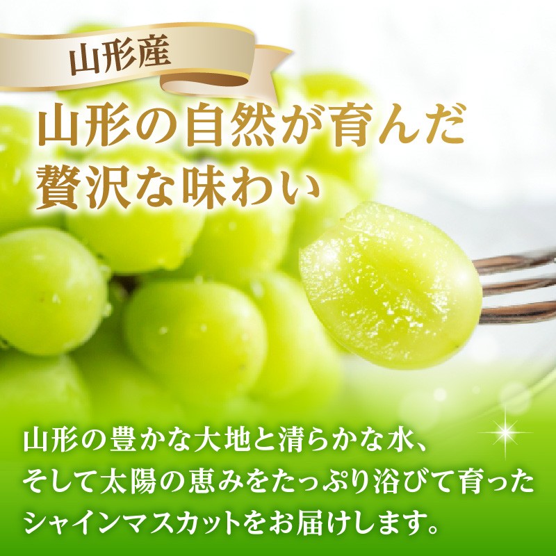 《先行受付》★山形産シャインマスカット★約700g以上(1～2房)秀品【2026年9月頃～順次発送予定】