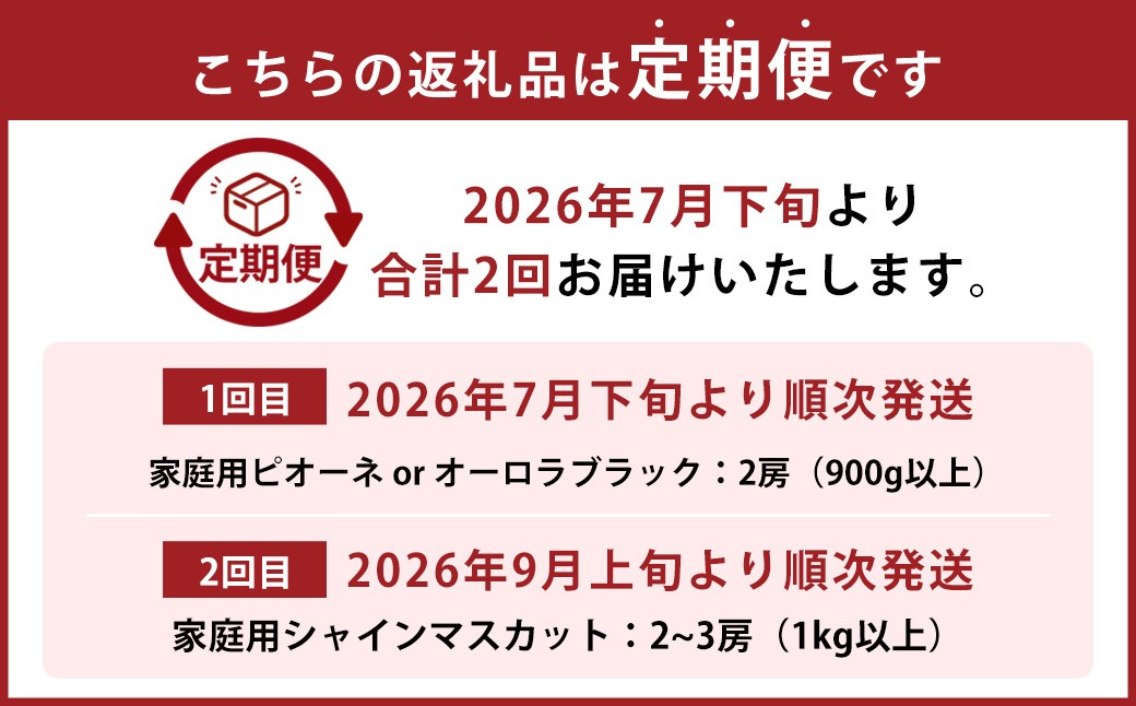 【2回定期便】家庭用ピオーネ or オーロラブラック 2房（900g以上）&家庭用シャインマスカット 2~3房（1kg以上）