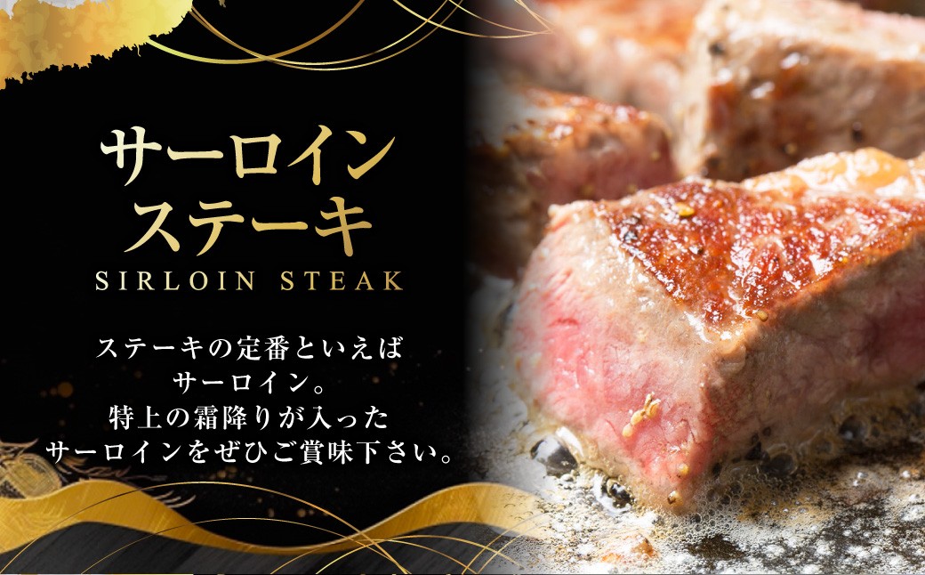 よくばりセットBタイプ【長崎和牛出島ばらいろ・長崎県産SPF五島美豚】 ／  和牛 国産 お肉 肉 牛肉 SPF豚 五島美豚 