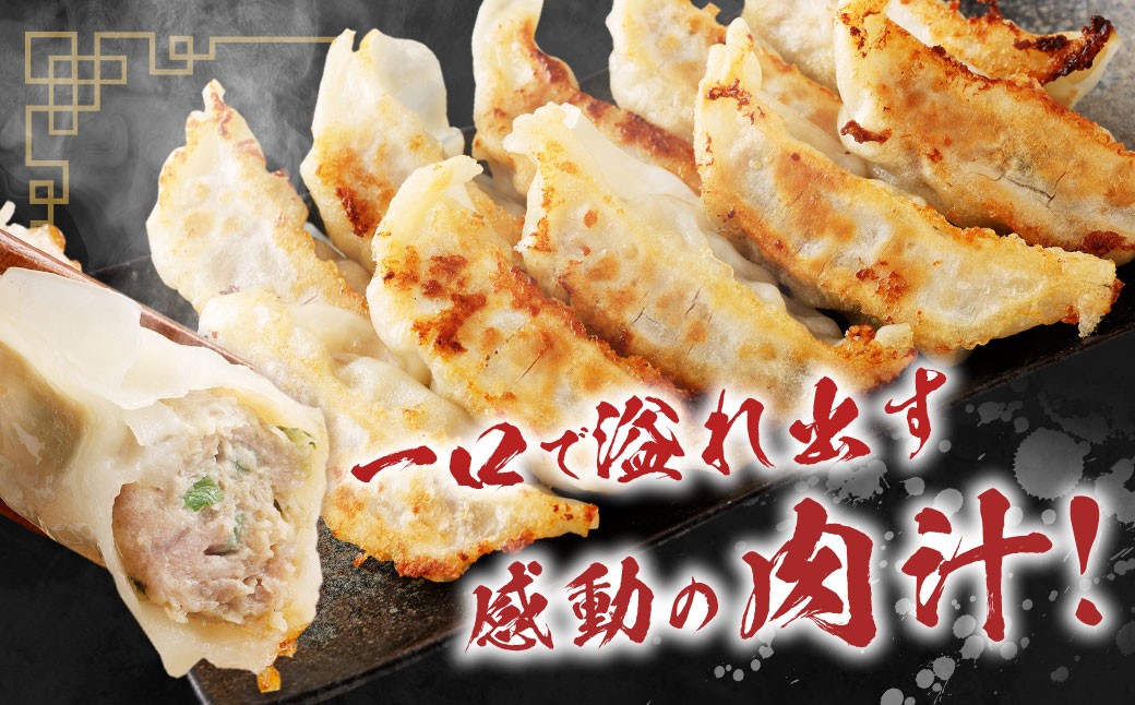 A327 驚愕の肉80%使用！ 肉ニクホルモン餃子 1パック25個入り 680g×3パック