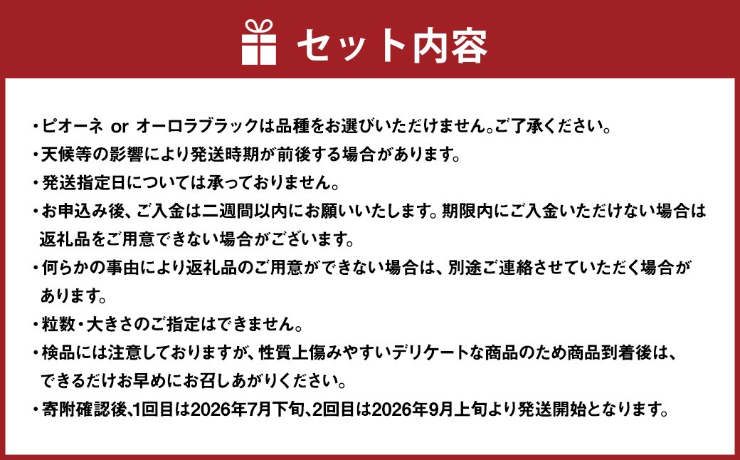 【2回定期便】家庭用ピオーネ or オーロラブラック 2房（900g以上）&家庭用シャインマスカット 2~3房（1kg以上）