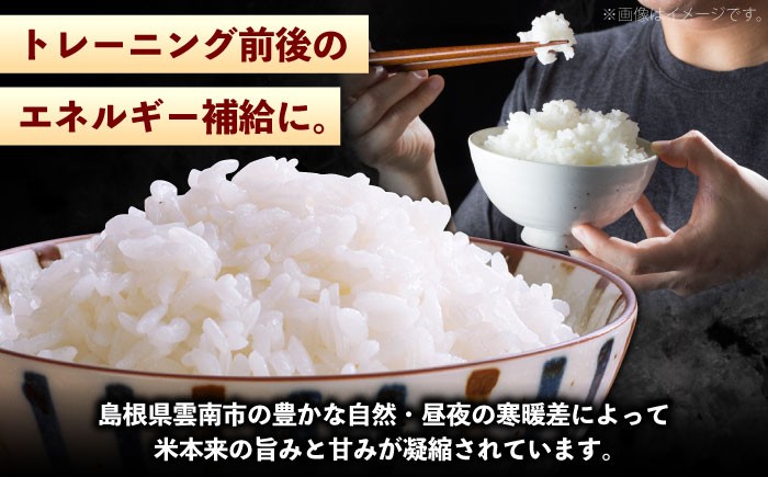 米 お米 白米 精米 こめ コメ ライス おにぎり お弁当 主食 ブランド米 島根米 コシヒカリ こしひかり 3kg 3キロ