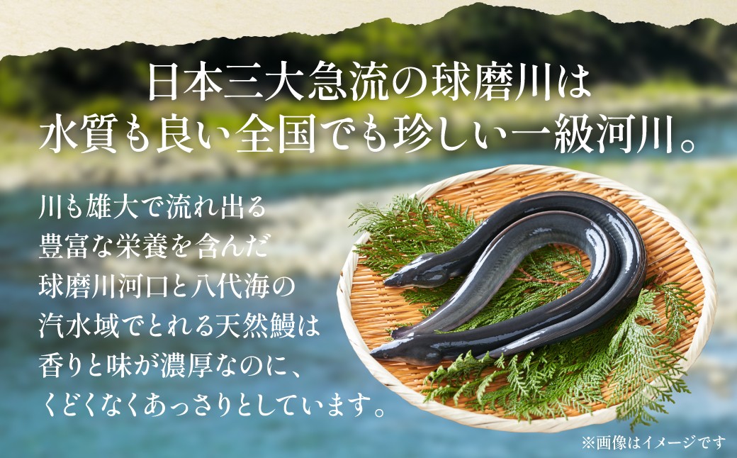 日本三大急流の球磨川は水質も良い全国でも珍しい一級河川