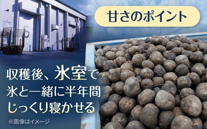 じゃがいも ジャガイモ 芋 メークイン 野菜