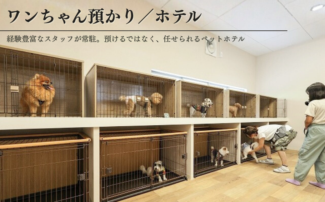 ワンちゃん預かり／ホテル