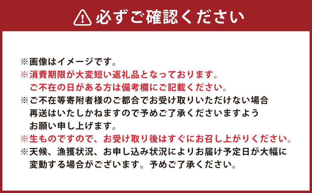 牡蠣 坂越かき 生食用 むき身 約300g×2個