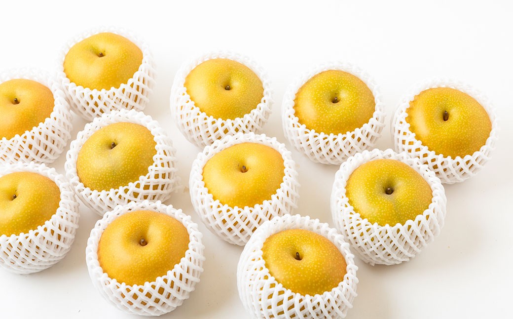 【先行予約】 梨の山茂梨園 あきづき梨 5玉から7玉（約2.5kg）【2026年9月上旬～下旬発送予定】