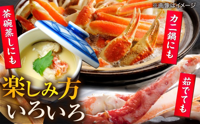 山陰 島根 松江 松葉ガニ 松葉がに 松葉蟹 かに カニ 蟹 ボイル 冷凍 家族 冷凍 おすすめ 人気 海鮮 鍋 お取り寄せ