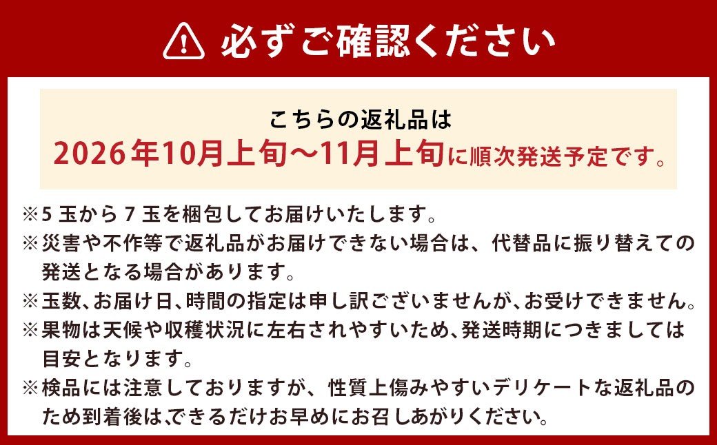 【先行予約】 梨の山茂梨園 新興梨 5玉から7玉（約2.5kg）【2026年10月上旬～11月上旬発送予定】