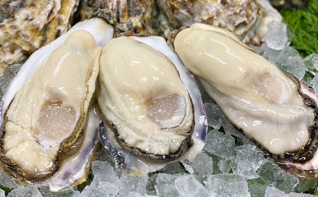 牡蠣 坂越かき 生食用 むき身 約200g×2個