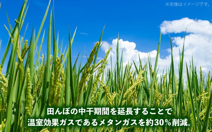 米 お米 白米 精米 こめ コメ ブランド米 島根米 銘柄米 国産米 小分け 令和7年米 きぬむすめ 12kg 3kg×4