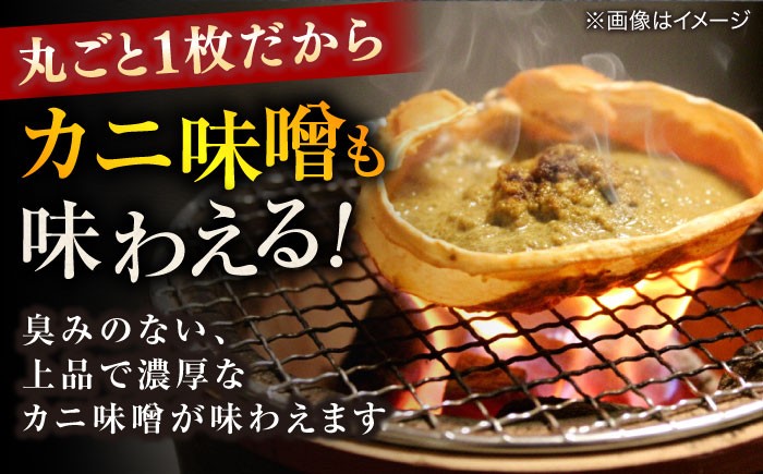 山陰 島根 松江 松葉ガニ 松葉がに 松葉蟹 かに カニ 蟹 ボイル 冷凍 家族 冷凍 おすすめ 人気 海鮮 鍋 お取り寄せ