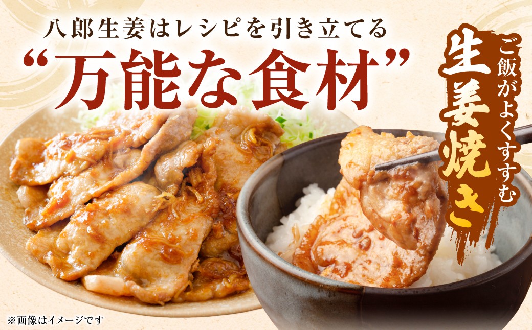 ご飯がよくすすむ生姜焼きに！