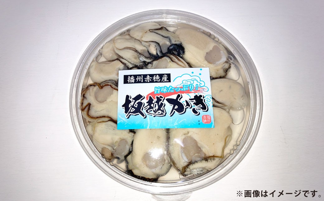 牡蠣 坂越かき 生食用 むき身 約200g×2個