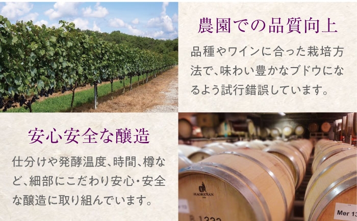 ワイン 受賞 白ワイン ギフト 贈答 特産品 産地直送 取り寄せ 送料無料 広島