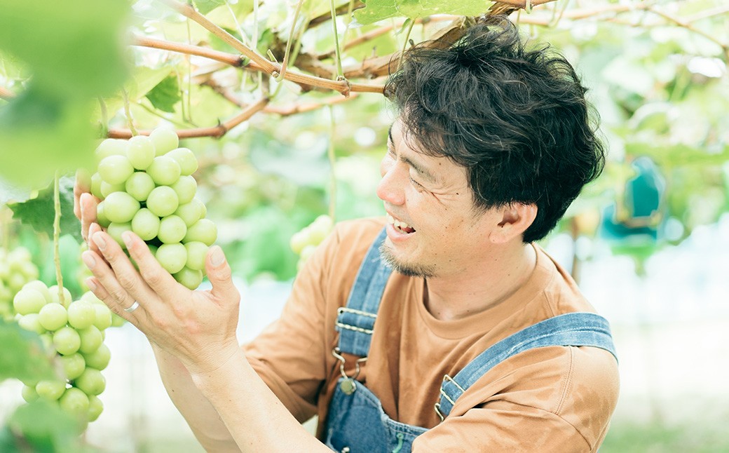 岡山白桃（2～３玉）&シャインマスカット&黒系ぶどう（1.5kg以上）の詰め合わせ