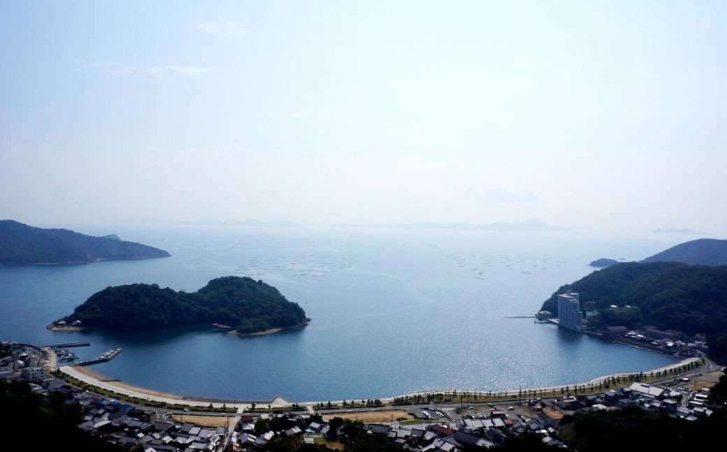 牡蠣 坂越かき 生食用 むき身 約200g×2個