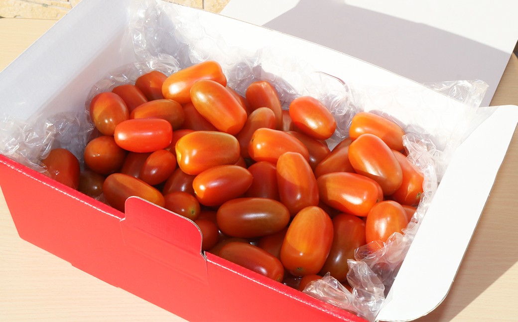 専用箱に詰めたトマトをヤマト運輸の常温便（夏季は冷蔵便）にてお届けいたします。