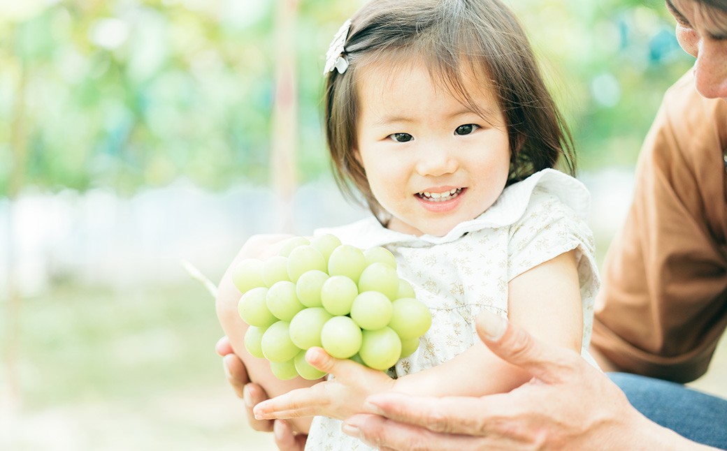 【2回定期便】プレミアム大粒・大房 シャインマスカット 2房（1.2kg以上）