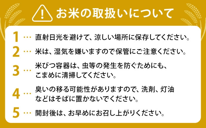 米 白米 精米  お米 米 kome 白米 ご飯 こめ ごはん ライス 10kg
