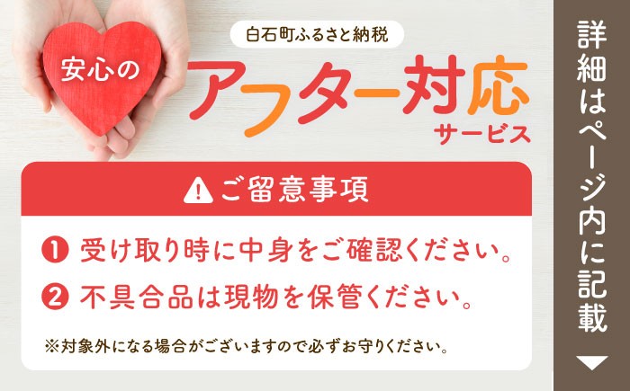 イチゴ 苺 いちご 大容量 果物 フルーツ 産地直送 さがほのか デザート フルーツ 果物 イチゴ イチゴ 苺 ichigo