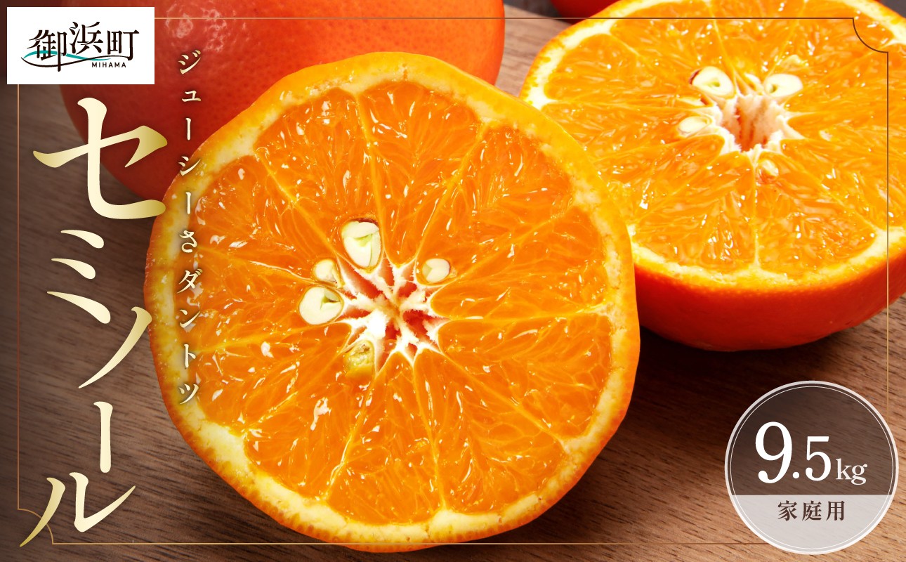 【2026年発送 先行予約品】