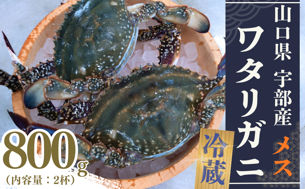 ワタリガニ 冷蔵 ワタリガニ メス 2杯 (約800g) ワタリガニ 渡り蟹 わたりがに カニ かに メス カニ味噌 かに味噌