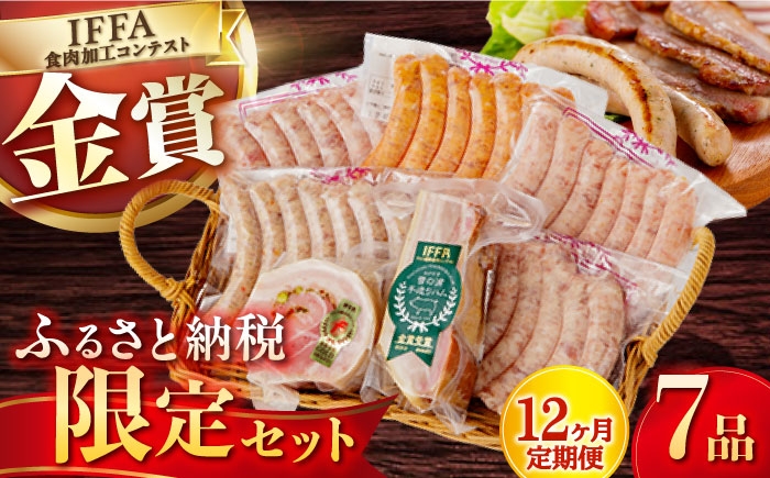 ベーコン ブロック ソーセージ ウインナー 冷凍 ふるさと納税 限定 セット 定期便 定期 毎月