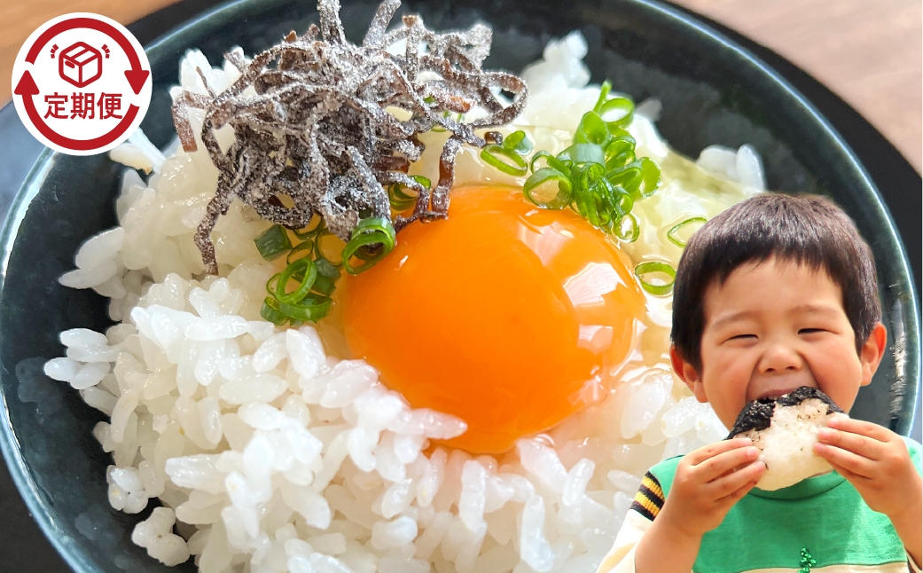 【3回定期便】白米 倉敷市産 ヒノヒカリ10kg