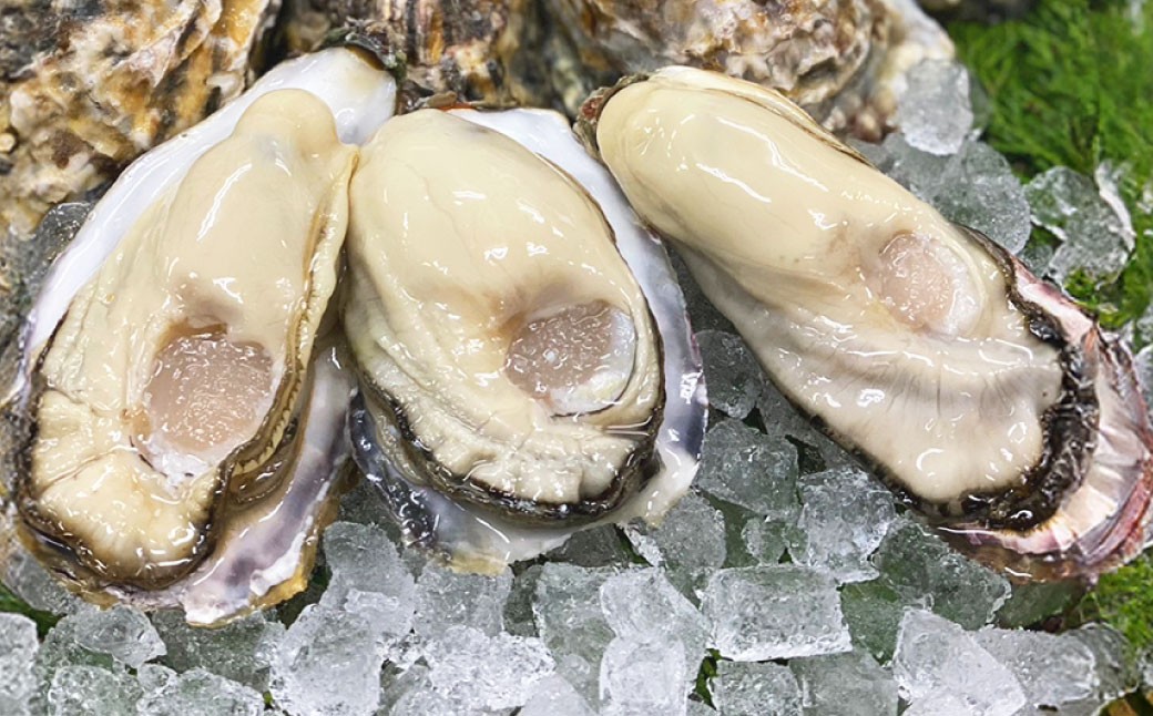 【3回定期便】 牡蠣 坂越かき 殻付き20個～25個 ＋ むき身200g（牡蠣ナイフ付き）