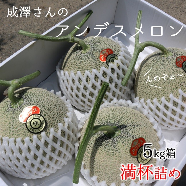 5kg箱にメロンを満杯にしお届けします。3～5玉のお届けです。※玉数のご指定はご遠慮ください。