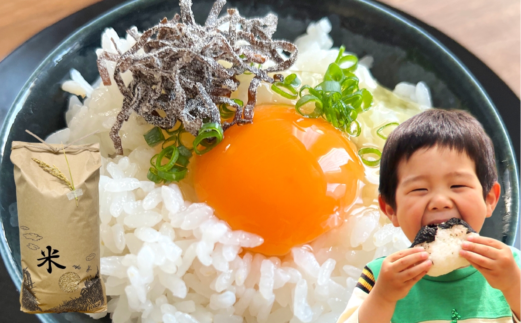 白米 倉敷市産 ヒノヒカリ10kg