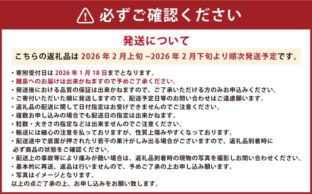 ゆうべに ( いちご ) 250g × 10パック