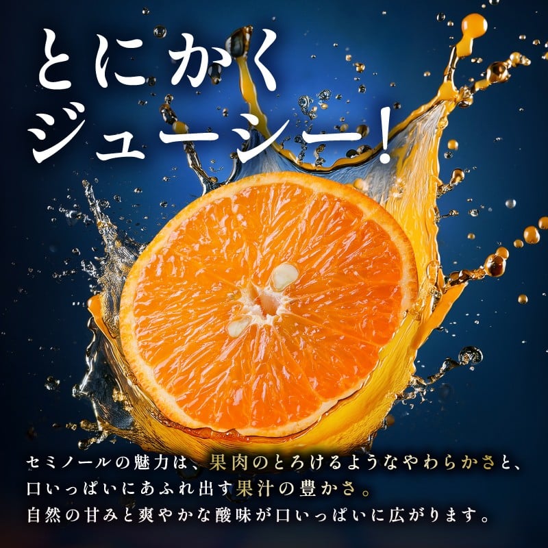 【2026年発送 先行予約品】