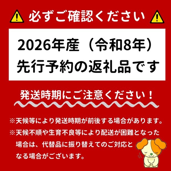こちらの返礼品は青肉のアンデスメロンをお送りいたします。