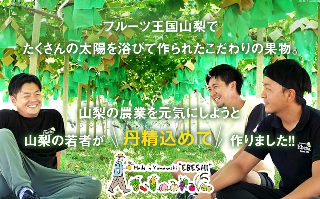 【旬の桃とシャインマスカットの2回定期便】令和7年 桃約2kg（5～6玉）、シャインマスカット約1.8kg（2～4房）