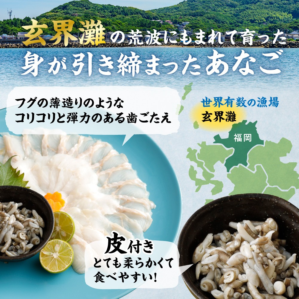 天然あなごの刺身【宗像産】1～2人前(60g)×3パック_KA0453
