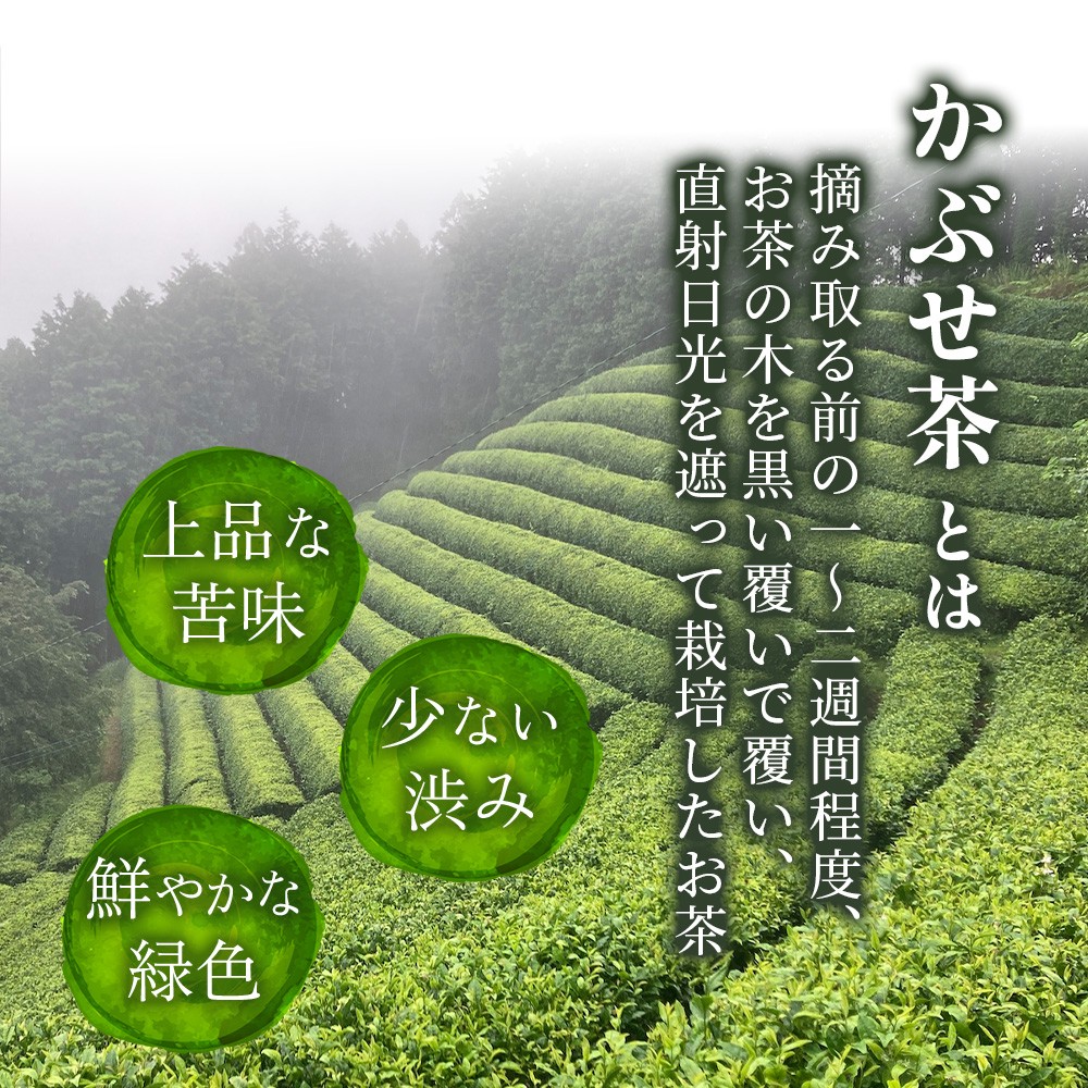 高知の山間地で育った、色、香り、味にこだわった希少なかぶせ茶を使用しています。